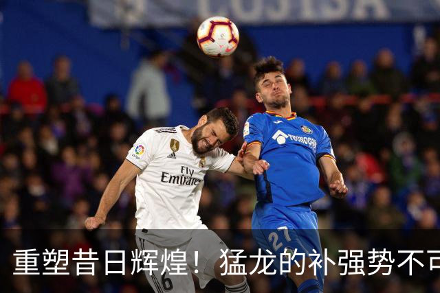 重塑昔日辉煌！猛龙的补强势不可挡，实力超越2019年夺冠阵容